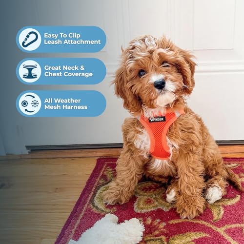 Image of Voyager Step-in Air All Weather Mesh Harness and Reflective Dog 5 ft Leash Combo Neoprene Handle, for Small, Medium and Large Breed Puppies by Best Pet Supplies - Orange (Matching Trim), XL