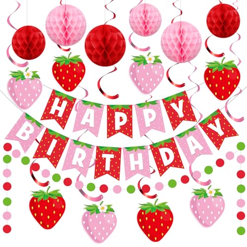 Funrous 17 Pcs Strawberry Party Decor Set Berry Birthday Garland Hanging