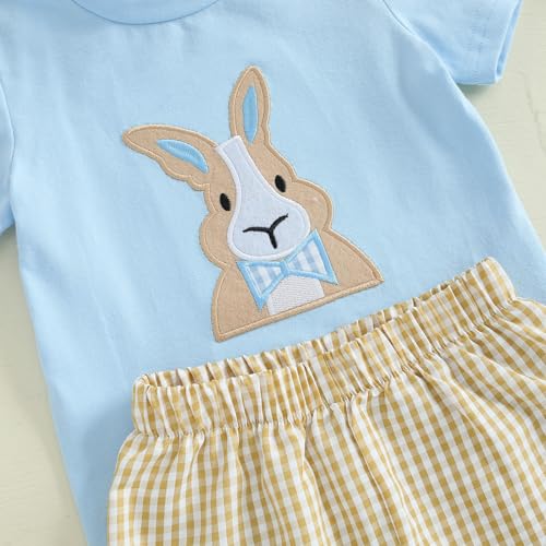 Image of Toddler Baby Boy Easter Rabbit Outfit Short Sleeve Bunny Carrot Smocked T-shirt Elastic Waist Shorts Summer Clothes