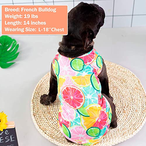Kyeese 2 Pack Dogs Shirts Quick Dry Lightweight Dog T-Shirts With Reflective Label Tank Top Sleeveless Vest Puppy Shirts Dog Clothes Lemon Pattern Great For Summer #TOP6