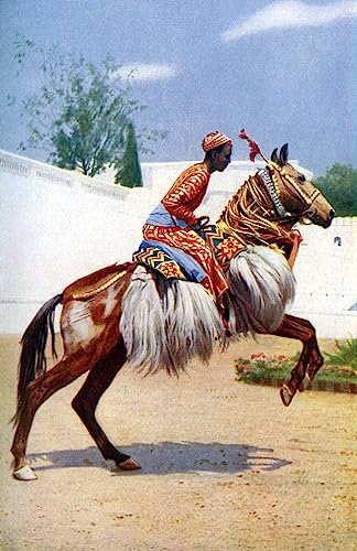 Cuadro de caballo árabe para decorar el salón comedor con arte de Udaipur India 60x90