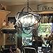 Lika 4-Light Farmhouse Chandeliers, Rustic Industrial Light Fixture with Spherical Shade, Black Pendant Lighting for Dining Room, Kitchen Island, Foyer (4-Light,Black)