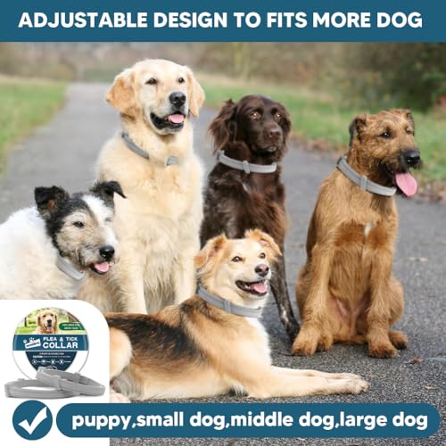 PDKIVFI Dog Collar, Collar for Dogs, 8 Months, Adjustable and Naturally-2P - Thumbnail 6