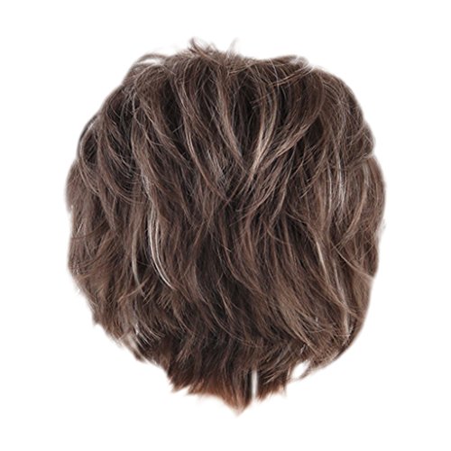 FAKEME Perucas Sintéticas Completas Curtas Naturais Macias Perucas Completas Sintéticas Senhora Cinz