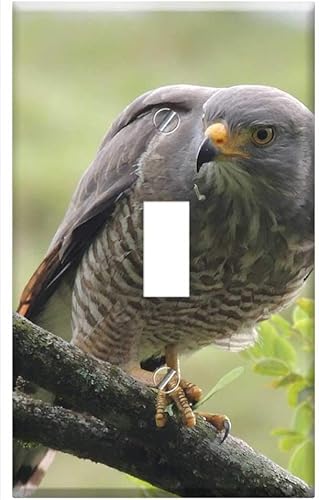 Switch Plate Single Toggle - Nature The India Quindio Avez