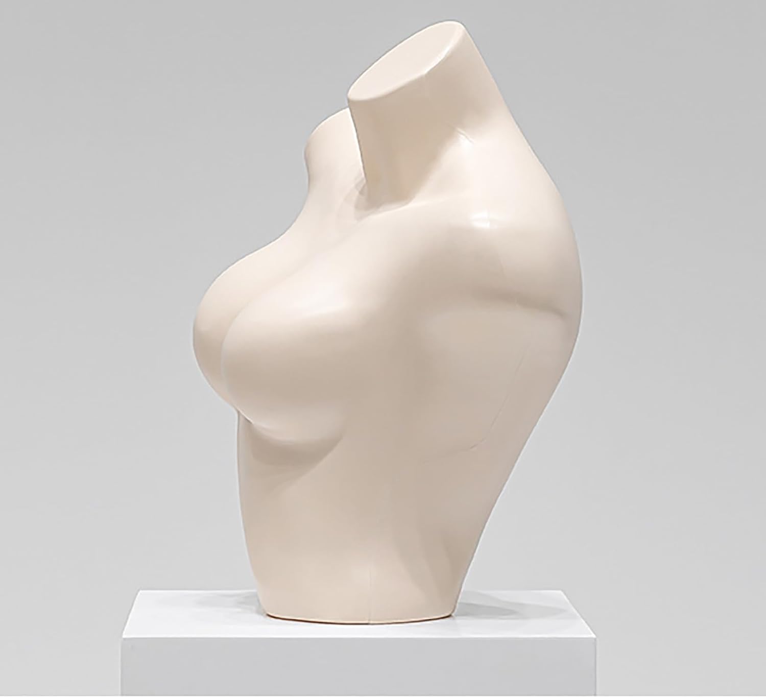 Men's Half Torso Mannequin for Underwear & Clothing Display, Female Hip Dress Form for Shop Window Props, Perfect for Retail Ornaments (Men's Size B)