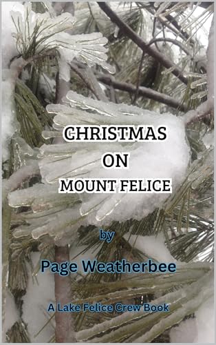 Christmas on Mount Felice (Lake Felice Crew) (English Edition)