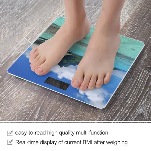 Báscula Digital de Baño Tahiti Beach 400 lb LCD miniatura 5