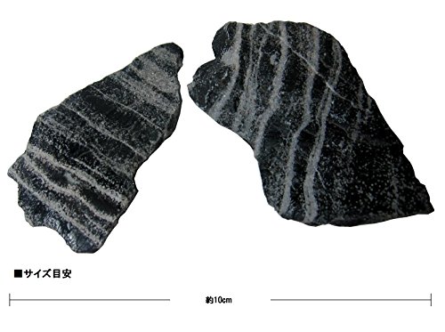 最安値 神畑養魚 カミハタ プチアクアの石 黒光石 500g 4556 の価格比較