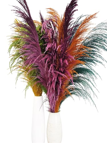 Pampas Grass Grande Natural 80-120cm 12 unidades miniatura 6