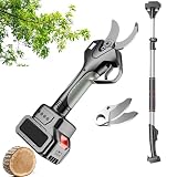 HCAUYNN Wiederaufladbare Kabellose Gartenschere, 6 cm Verstellbare Klinge Aus Karbonstahl...