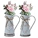 Ulikey Jarra de Leche de Metal Vintage, 2 PCS Jarrón Decorativo Rústico, Florero Rústico, Jarrón Primitivo para Arreglos Florales Frescos y Secos para el Hogar y Bodas