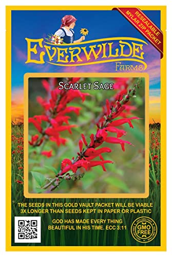 Everwilde Farms - 1000 Scarlet Sage Native Wildflower Seeds - Gold Vault Jumbo Seed Packet