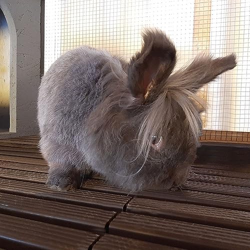 Breker Kaninchenrost - Kunststoff - Lattenrost 80 x 80 cm - Kleintierrost - Stallzubehör - Stall Bodenbelag – Bild 4