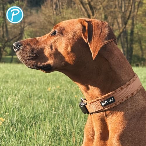 Petlando Hundehalsband atmungsaktiv aus weichem Mesh, stufenlos verstellbar, langlebig & robust, Farbe Cognac, Größe M (45-50 cm, Breite 4 cm), Halsband Hund gepolstert
