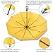 Rainlax Travel Windproof Umbrella Lightweight 10 Ribs Automatic Compact Canopy Umbrellas for Men/Women One Handed Operation