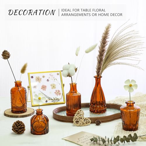 image for SUPMIND Glass Bud Vase Set of 5, Amber Small Flower Vases for Centerpi