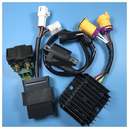 JS250 250 250CC ATVクワッドCDI +電圧レギュレーター+イグニッションコイル+ Jianshe 250cc Puma 250-3A用