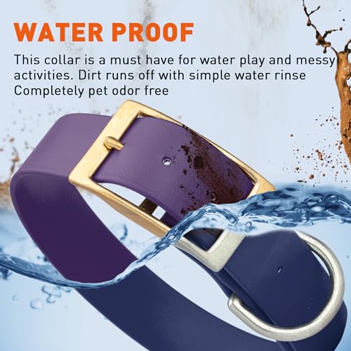 Image of Viper Biothane Heavy Duty Waterproof Dog Collar Strong Coated Nylon Webbing w /Solid Brass Hardware Odor-Proof Easy to Clean High Performance Fits Small Medium or Large Dogs, Violet Purple