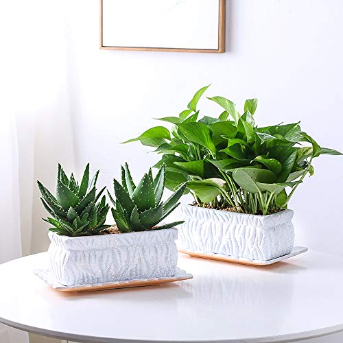Pots de cactus durables en céramique pour stopper l'excès d'eau - 4