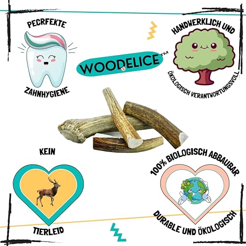 Hirschgeweih für Hunde | Größe L Hunde von 20 bis 30 Kg | Natürliche Zahnreinigung | Langanhaltender Kauspaß | 100% Natürliche Mineralienquelle | Stressabbau | Futtermittelunverträglichkeiten