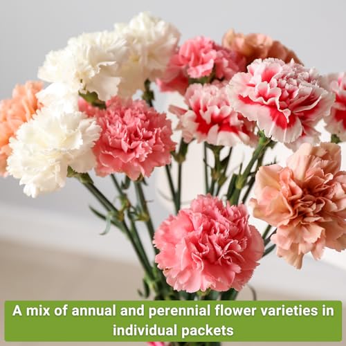 Sow Right Seeds - Large Flower Seed Collection - Coleus, Carnation, Daisy, Calendula, Alyssum, Echinacea, Lavender, Snapdragon & Zinnia - Non GMO Heirloom Seeds for Planting - 10 Packets - Image 4