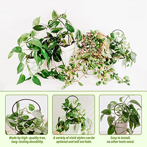 8 Stück Rankhilfe Zimmerpflanzen, Rankhilfen für Kletterpflanzen aus Metall, Pflanzenunterstützung für Topfpflanzen, Garten Blumenstütze, Blattform Pflanzenstütze Rankgitter – Bild 4