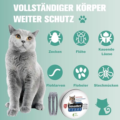 Advanllent Zeckenhalsband für Katzen, Flohhalsband Katze, Floh und Zeckenhalsband Katzen, Zeckenschutz Flohschutz Halsband für Katzen, für Katzen ab 12 Wochen 2 Stück