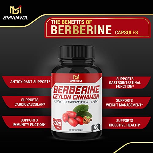 Berberine Supplement - 17 In 1 Immune Support With Ceylon Cinnamon, Quercetin, Turmeric, Milk Thistle, Ginger - 90 Capsules #TOP4