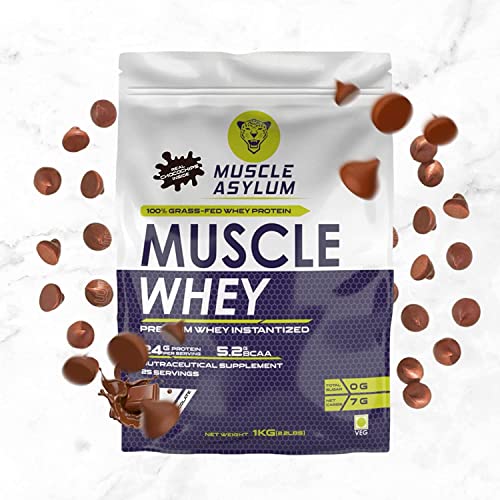 Real Whey Protein Bag (1kg, With Real Chocochips Inside)
