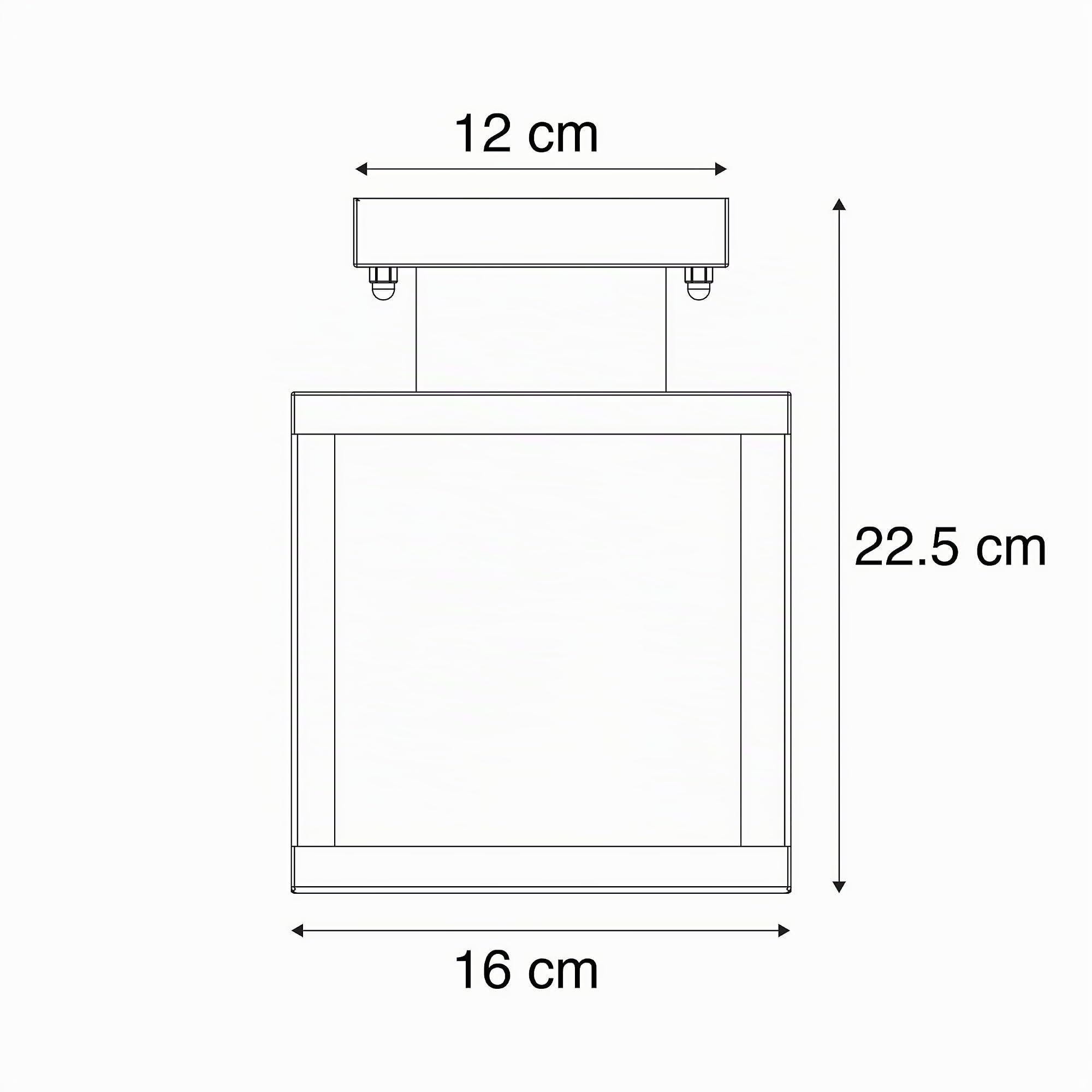 Qazqa rotterdam - Lampada da soffitto Moderno - 1 luce - L 160 mm - Nero - Moderno - Illuminazione esterna