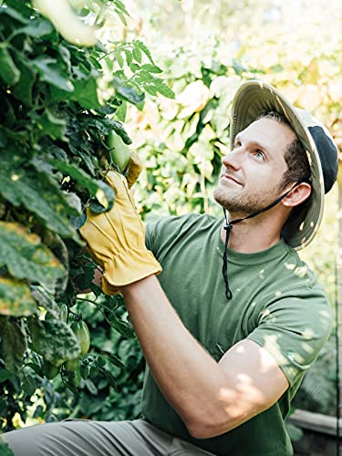 Men's Upf 30+ Dri-Balance Short Sleeve Pocket T-Shirt, Clothing For Bug And Tick Protection (As1, Alpha, X_L, Regular, Regular, Navy) #TOP4