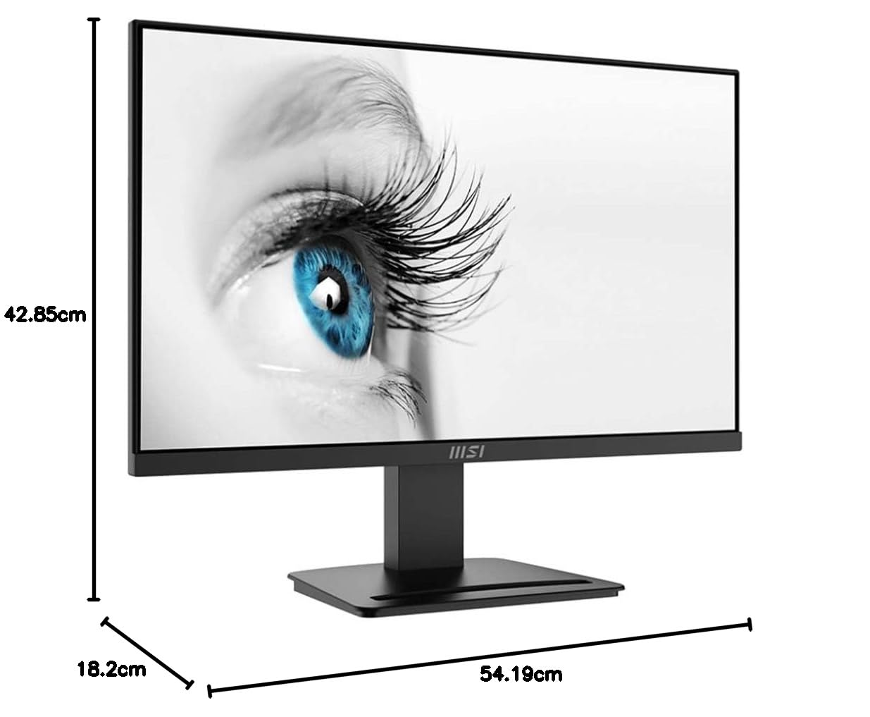 Comprar MSI Pro MP2412 23.8 FullHD VA 100 Hz Preto de PC - EISnt