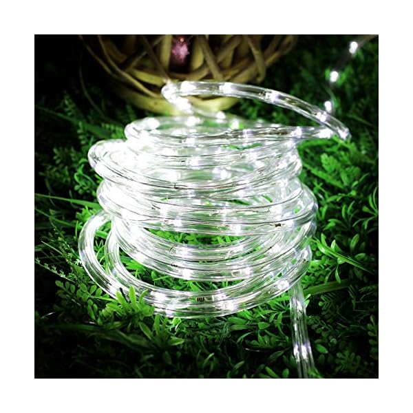 Lighting ever 33ft 240 led outdoor rope lights cool white 6000k, 24 v connectable, waterproof clear tube string lights for deck railing, patio ground, garden, yard lawn, flower bed landscape, camping - image 3