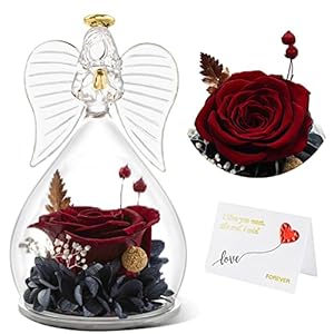 Yamonic Preserved Real Rose in Glass Angel Figurines, Handmade Flower Angel Gifts for Women, Mom, Grandma, Friends…