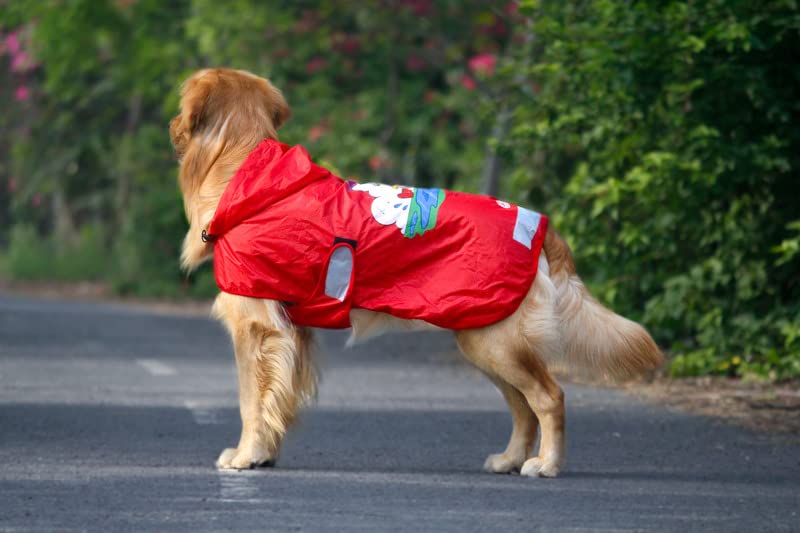 Lana Paws Dogs Just Wanna Have Fun! Printed Dog Raincoat For Standard Sized Labradors, Golden Retrievers, German Shepherd, Rottweiler & Similar, Pack of 1 1