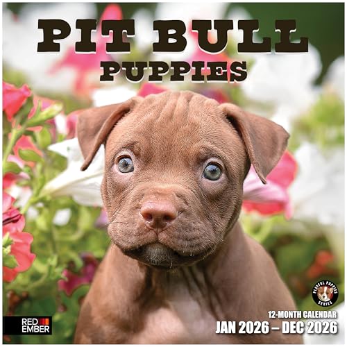 PITTIES GIOCOLI - Perfetto per gli amanti dei cani di tutte le età, questo calendario presenta questi adorabili cuccioli mentre giocano, posano per la fotocamera e danno i loro più grandi sbadigli. Ogni mese ti scioglierà il cuore!
