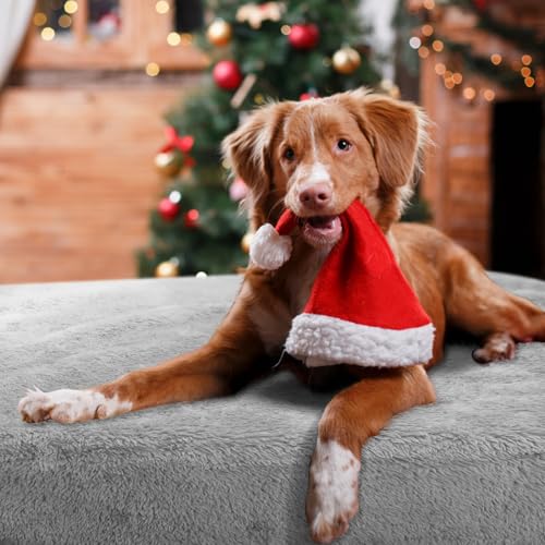 Nobleza Hundedecke Weiche Fleecedecke Waschbare Deck für Haustier Hunde Katzen Welpen Weiche Warme Matte, Hellgrau 100 * 80cm