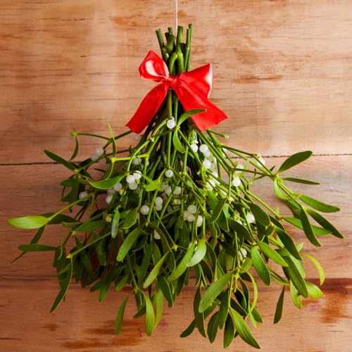 Amazon Music Christmas Songsのunder the mistletoe Amazon.co.jp