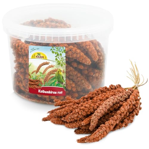 JR FARM Birds mijo de mazorca Rojo en Cubo 500 g