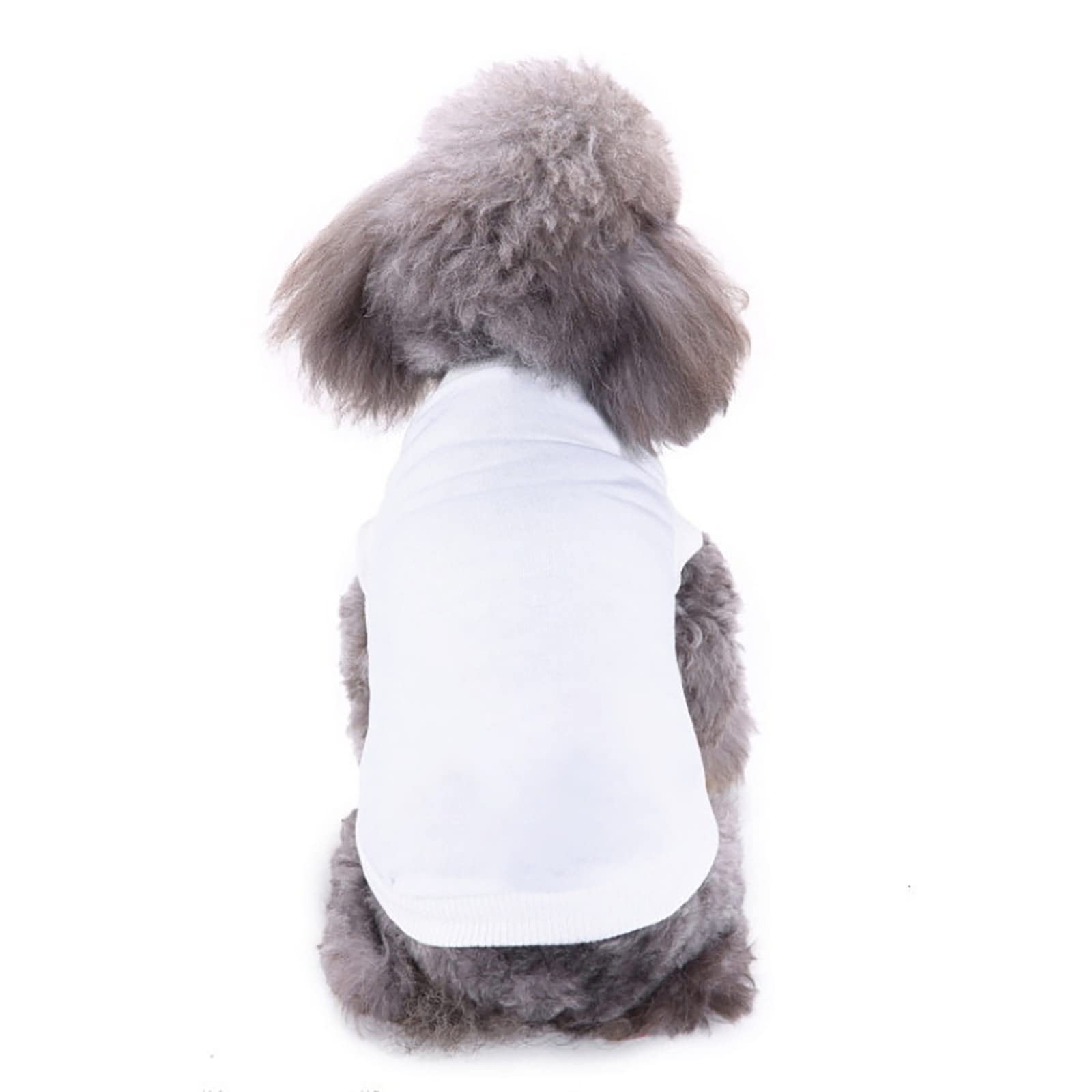 Gilet Per Cani Con Stampa Fungo Rosso E Bianco – In Rete Di Poliestere Traspirante, Senza Maniche, Per Razze Medie E Grandi, Perfetto Per Passeggiate E Foto