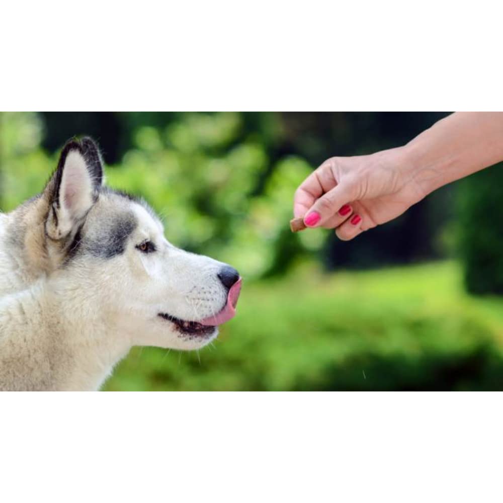 EL HAYEDO Pienso para Perros con Buey, Pollo y Arroz Alta Energía con Vitaminas - 20 Kg