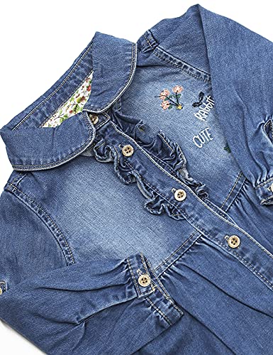 KIDSCOOL SPACE Baby Little Girl Jean Coat Dress,Flower Bird Embroidered Pleated Denim Shirt Dress3