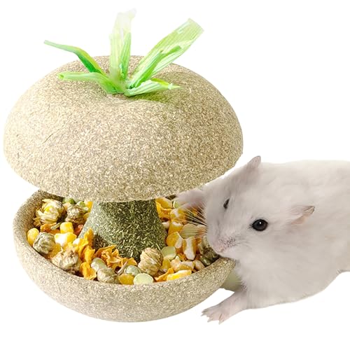 NADEnVIE Chew Toys For Gerbils Apple Core Hamster Chews Toys Teething Bowl Small