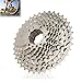 Vbestlife ZTTO 10 Velocit¨¤ 11-36 T Volano Bici in Acciaio Argento Ruota Libera Cassetta Pignone Bicicletta SLX Volano Accessorio