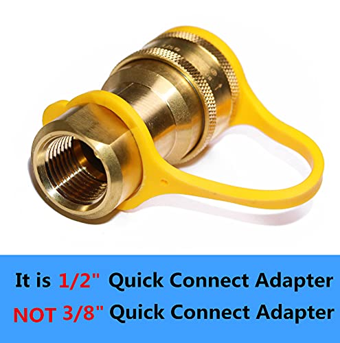 Dozyant 1/2" Qdd Lp Gas Quick Connect Disconnect Connector & Male Insert Plug Solid Brass 1/2 Psig Pressure Input 1/2 Ins & 1/2" Male Npt X 1/2 Inch Natural Gas Propane Fitting Connector #TOP3