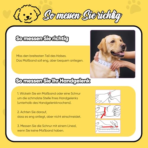 Hundehalsband Personalisiert mit Namen/Buchstabe - Niedliche Bunte Perlen Halskette Halsband Hund Katze mit GRATIS Passendem Armband - Personalisierte Hunde Geschenke für Frauen Männer Hundeliebhaber
