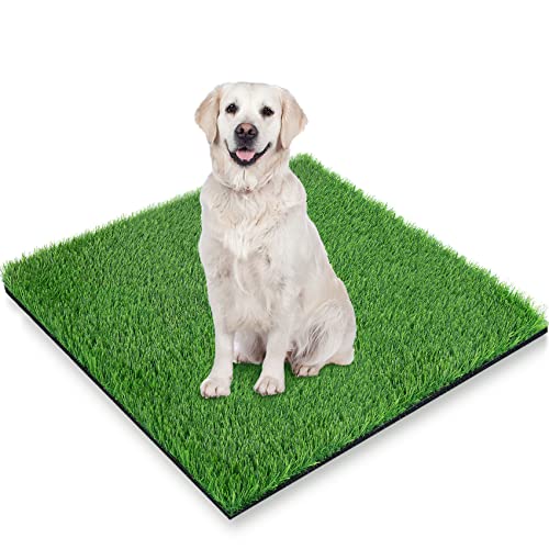 Image of GLOBREEN Artificial Grass Pee Pad for Dogs, 48 inchx31.5 inch Pet Friendly Turf Potty Training Puppy, Washable Reusable, High-Drainage,