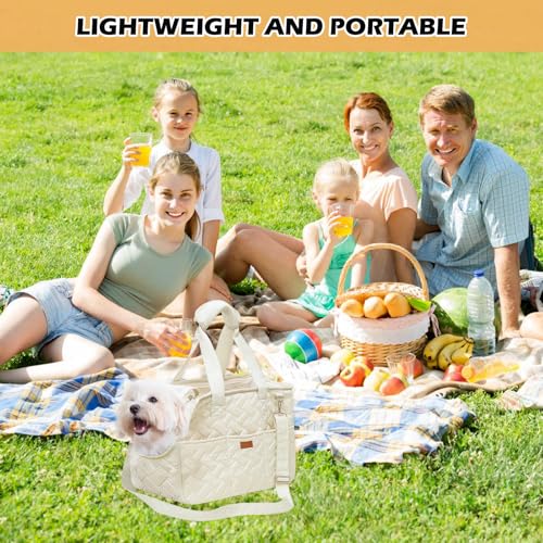Hundetragetasche bis 5kg – Hundetasche für kleine Hunde Katze, Tragetasche Hund, faltbar, atmungsaktiv, mit Sicherheitsgurt, Taschen, Transporttasche, ideal für Outdoor, Reisen, Auto (41x30x18cm)