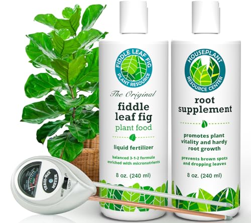 Fiddle Leaf Fig Essentials Bundle miniatura 1